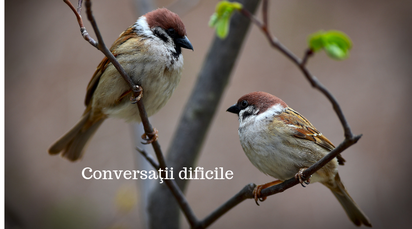 Conversaţii dificile